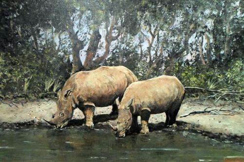 Pieter Kalf - Animal oil paintings! 3 amazing works of art! Bid now!!